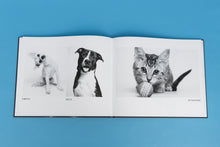 Load image into Gallery viewer, Arizona Humane Society &quot;Tails&quot; Coffee Table Book
